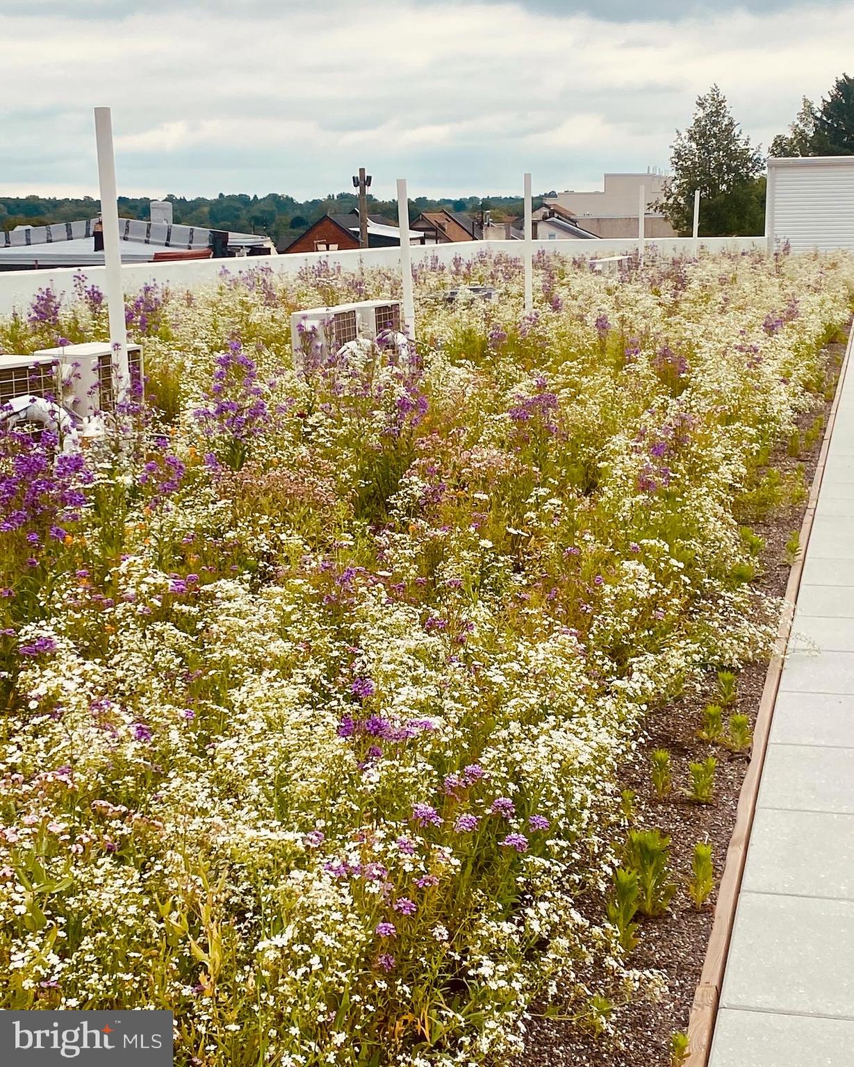 5542-44 Ridge Avenue, Unit 105 Philadelphia, PA 19128 - Photo 15 of 16