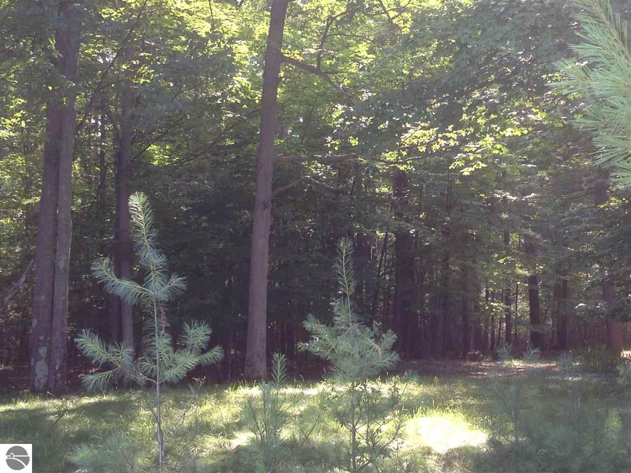 8804 Skegemog Point Road Williamsburg, MI 49690 - Photo 14 of 20 1787906-13.JPG