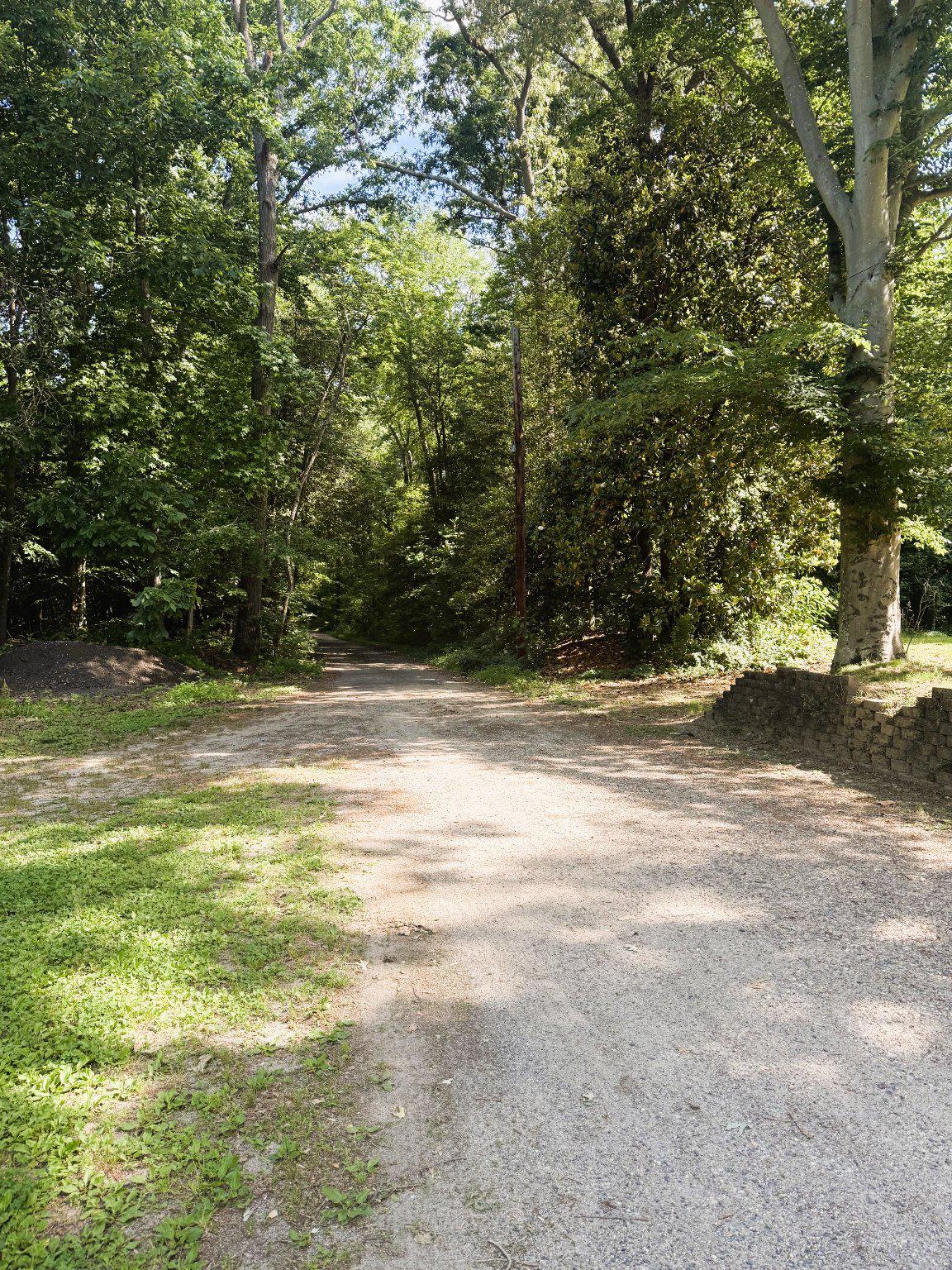 358 Buckhorn Road Bridgeton, NJ 08302 - Photo 4 of 11 Private Driveway