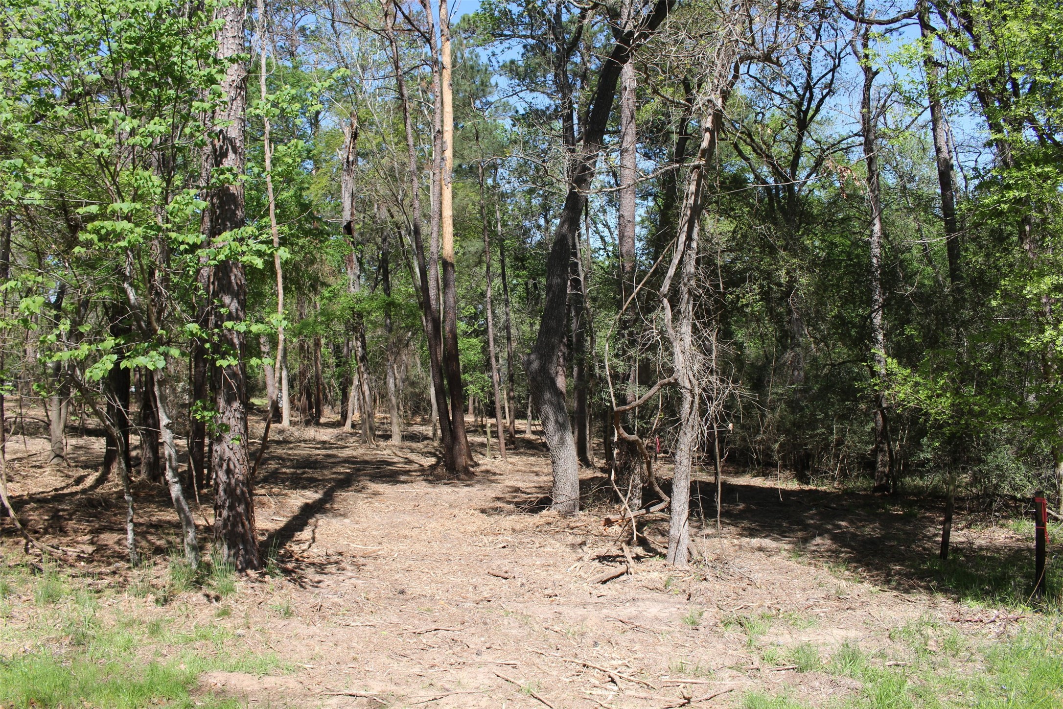 145 Crossed Arrow Road Grapeland, TX 75844 - Photo 12 of 19 From the front of the property