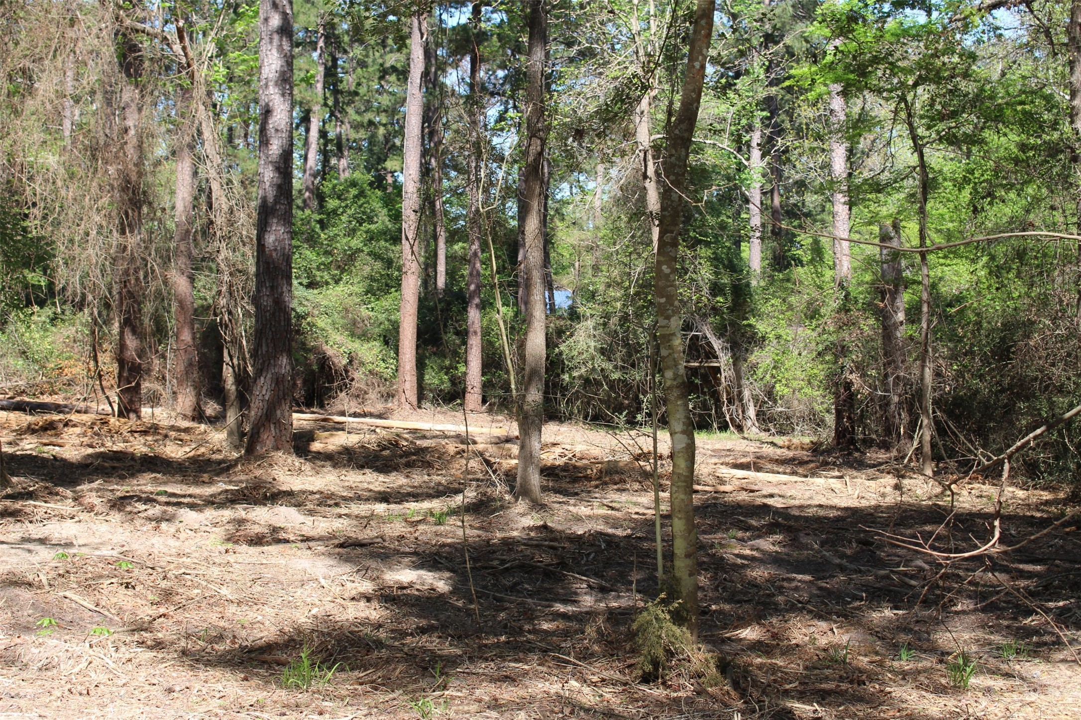 145 Crossed Arrow Road Grapeland, TX 75844 - Photo 13 of 19 Come see!