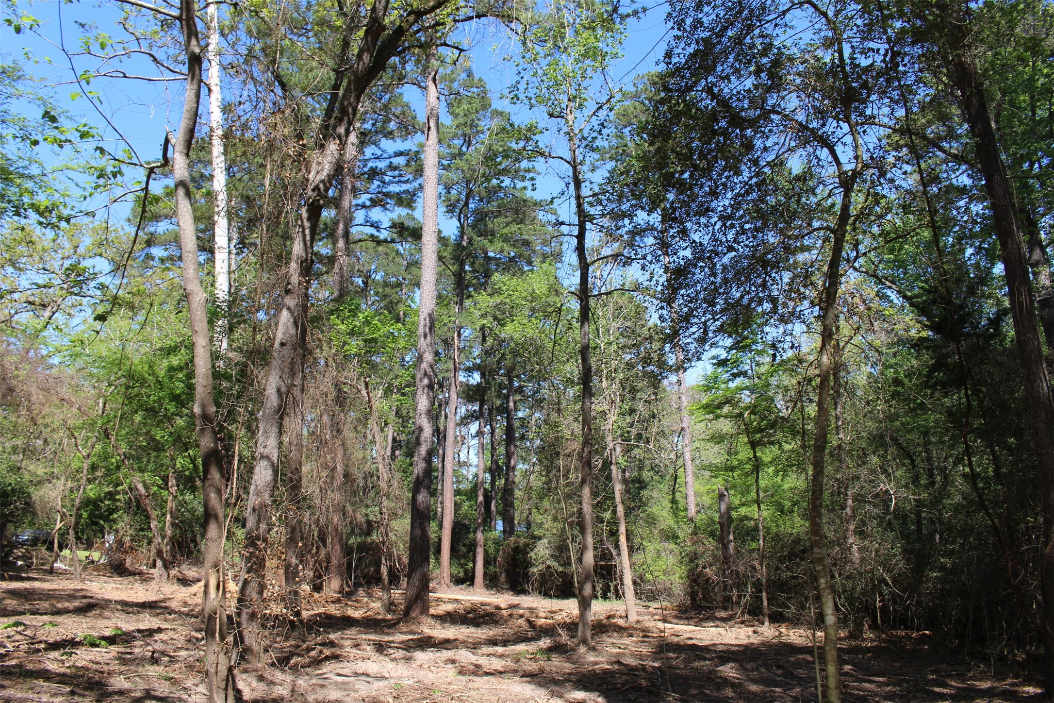 145 Crossed Arrow Road Grapeland, TX 75844 - Photo 14 of 19 Side shot to the lake