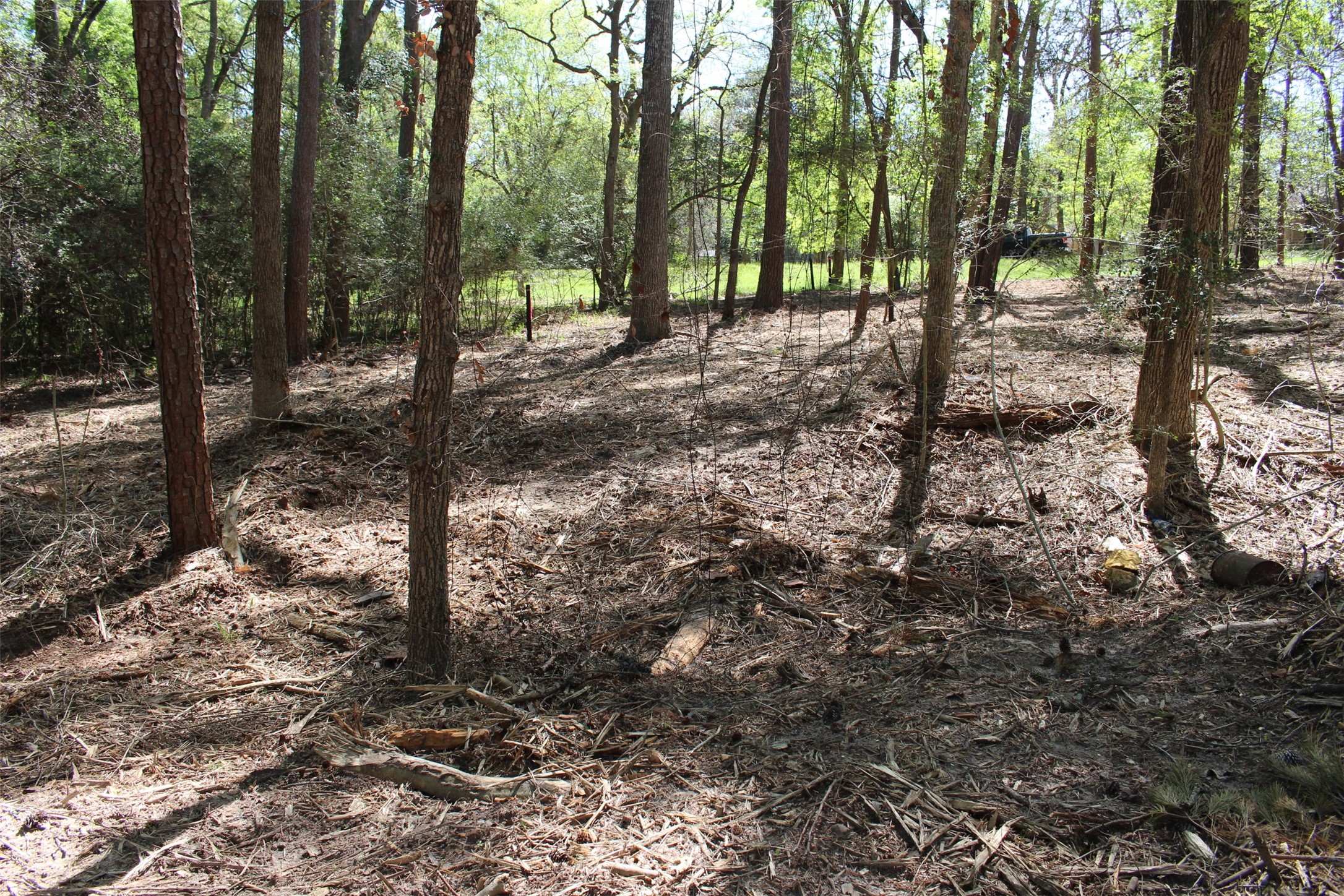 145 Crossed Arrow Road Grapeland, TX 75844 - Photo 16 of 19