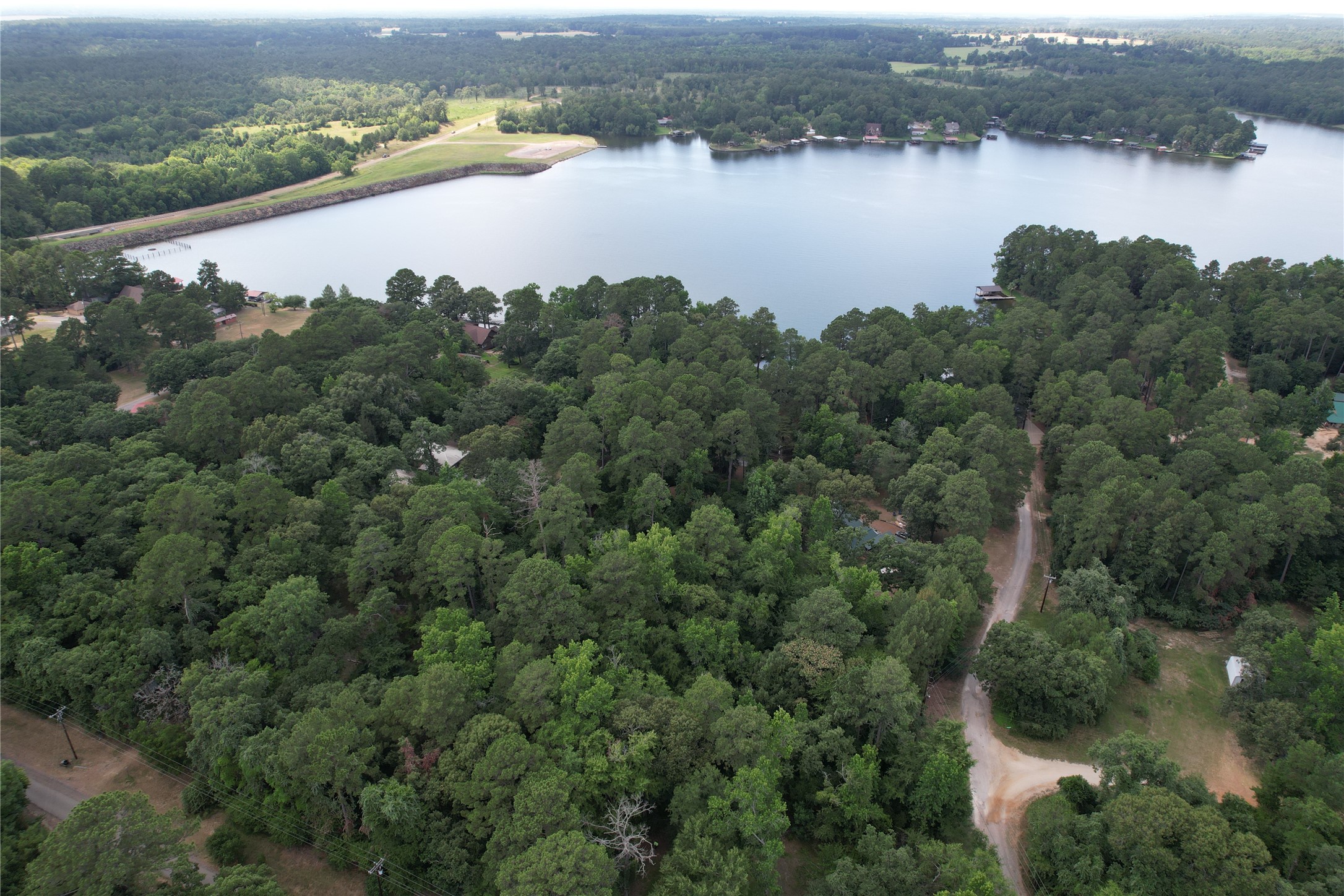 145 Crossed Arrow Road Grapeland, TX 75844 - Photo 3 of 19 Aerial picture of the area.