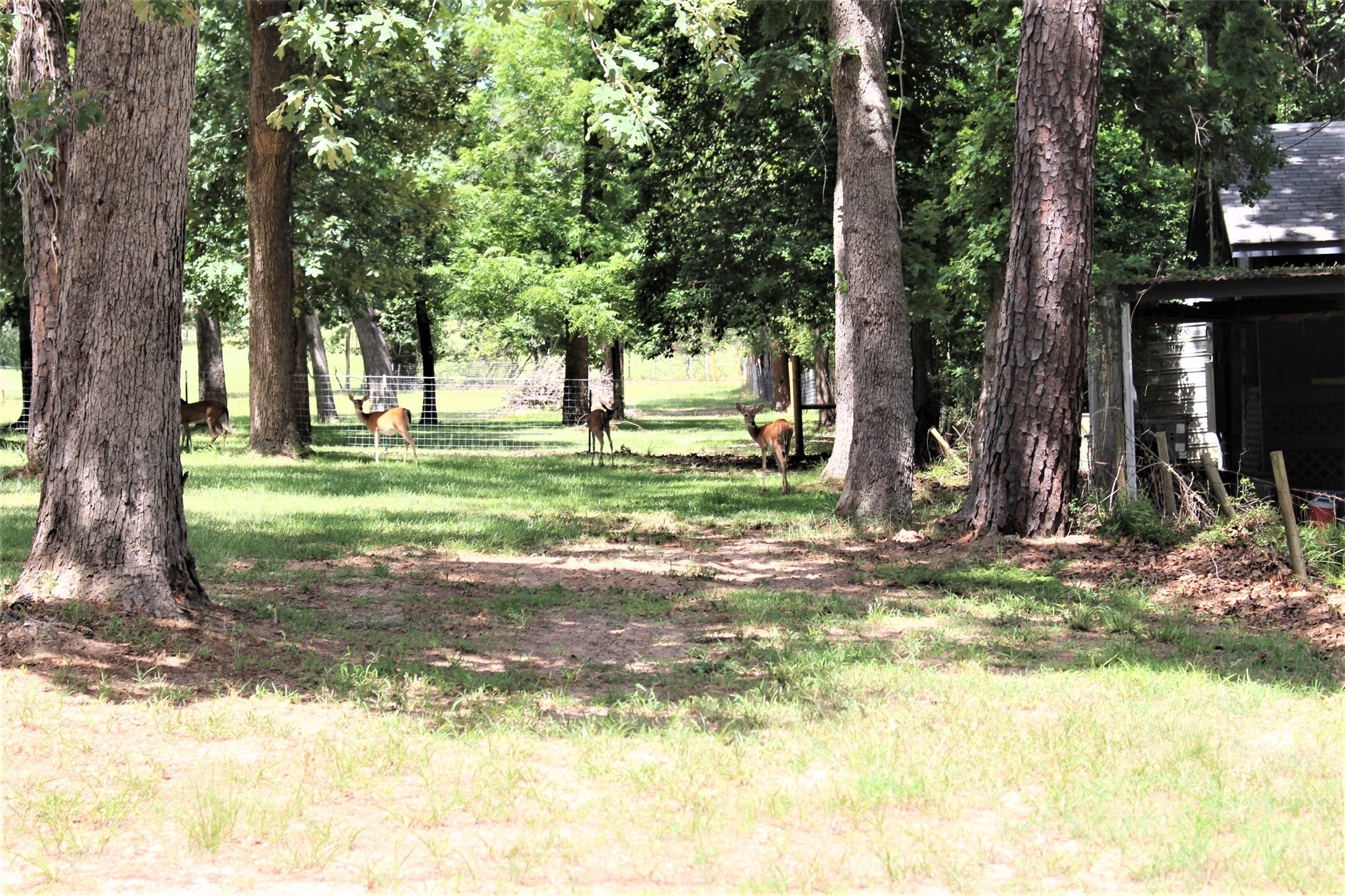 145 Crossed Arrow Road Grapeland, TX 75844 - Photo 5 of 19 A few of the neighbors