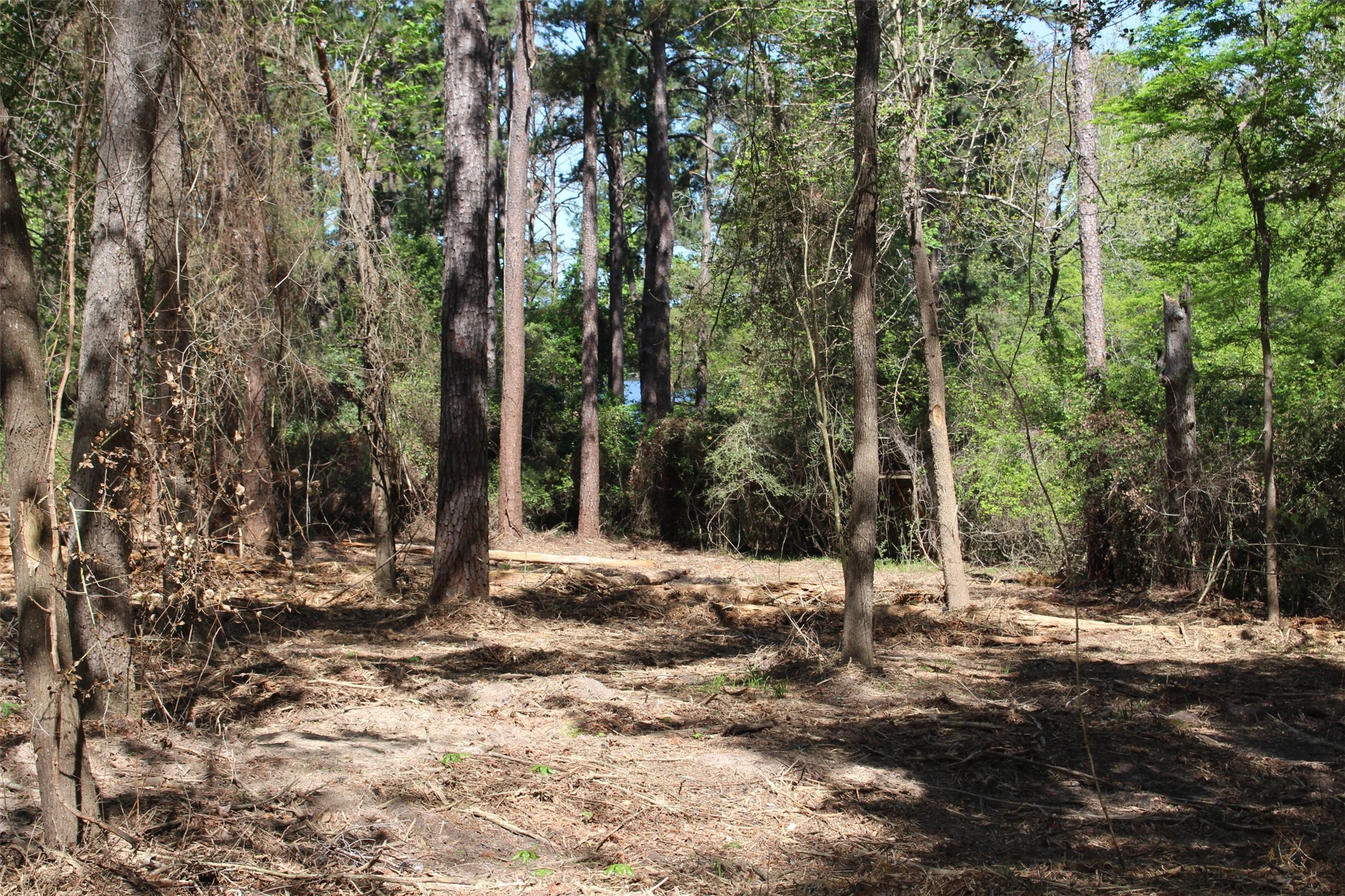 145 Crossed Arrow Road Grapeland, TX 75844 - Photo 10 of 19 The sky is so blue hard to see the water.