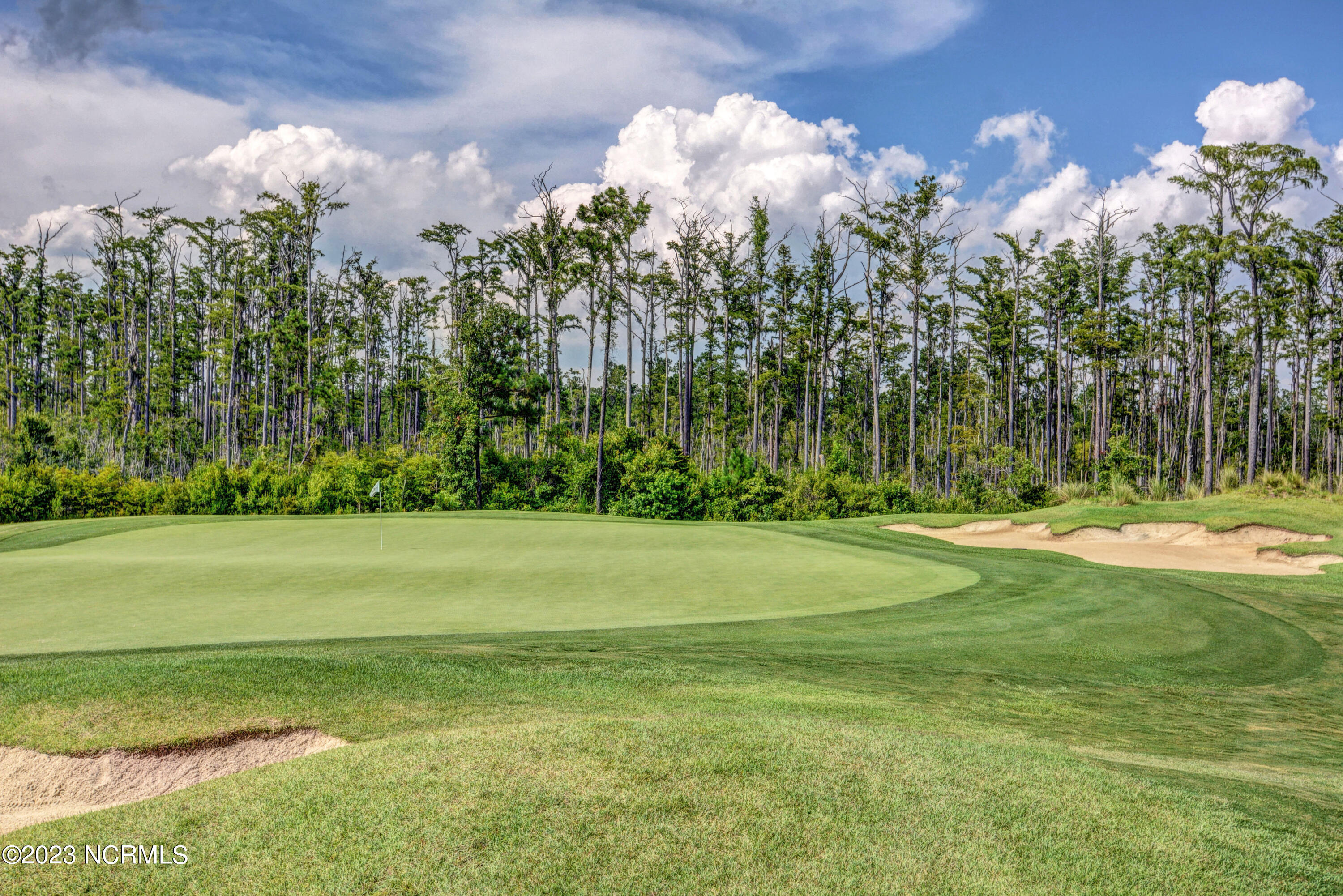 2036 Colony Pines Drive Leland, NC 28451 - Photo 34 of 46 046_dsc_0309_10_11
