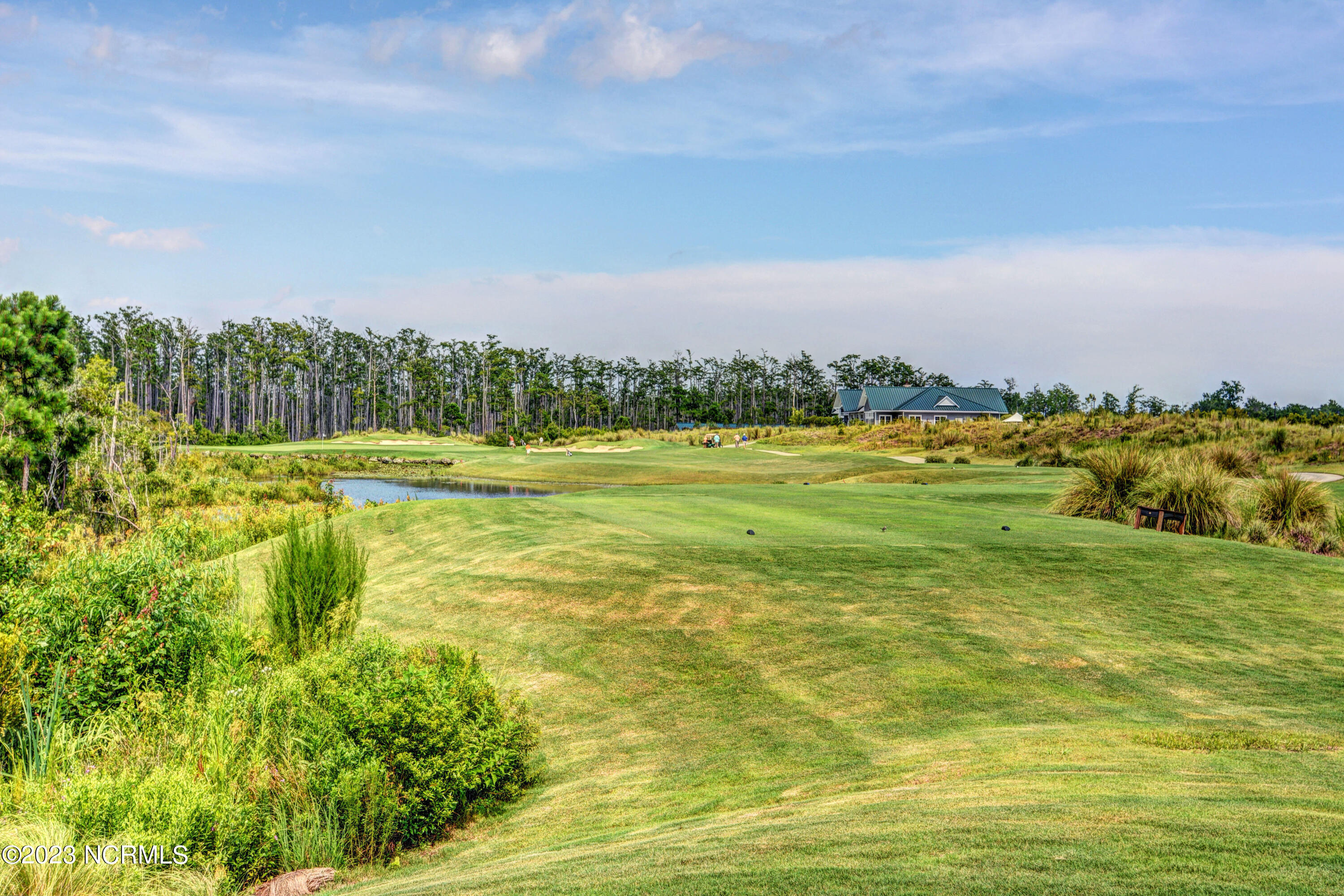 2036 Colony Pines Drive Leland, NC 28451 - Photo 35 of 46 048_dsc_0318_19_20