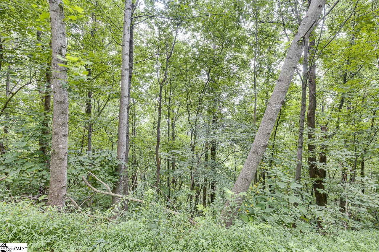 613 Western Way Landrum, SC 29356 - Photo 2 of 8