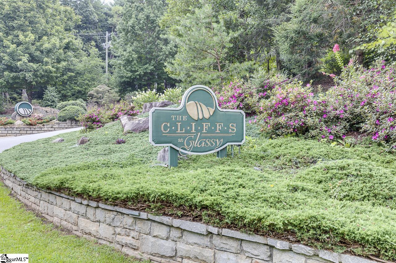 613 Western Way Landrum, SC 29356 - Photo 6 of 8