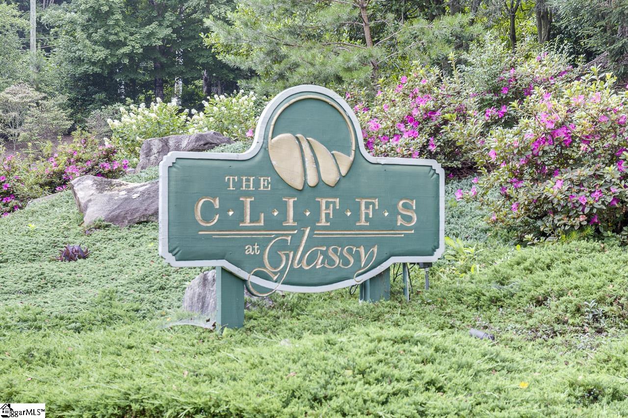 613 Western Way Landrum, SC 29356 - Photo 7 of 8