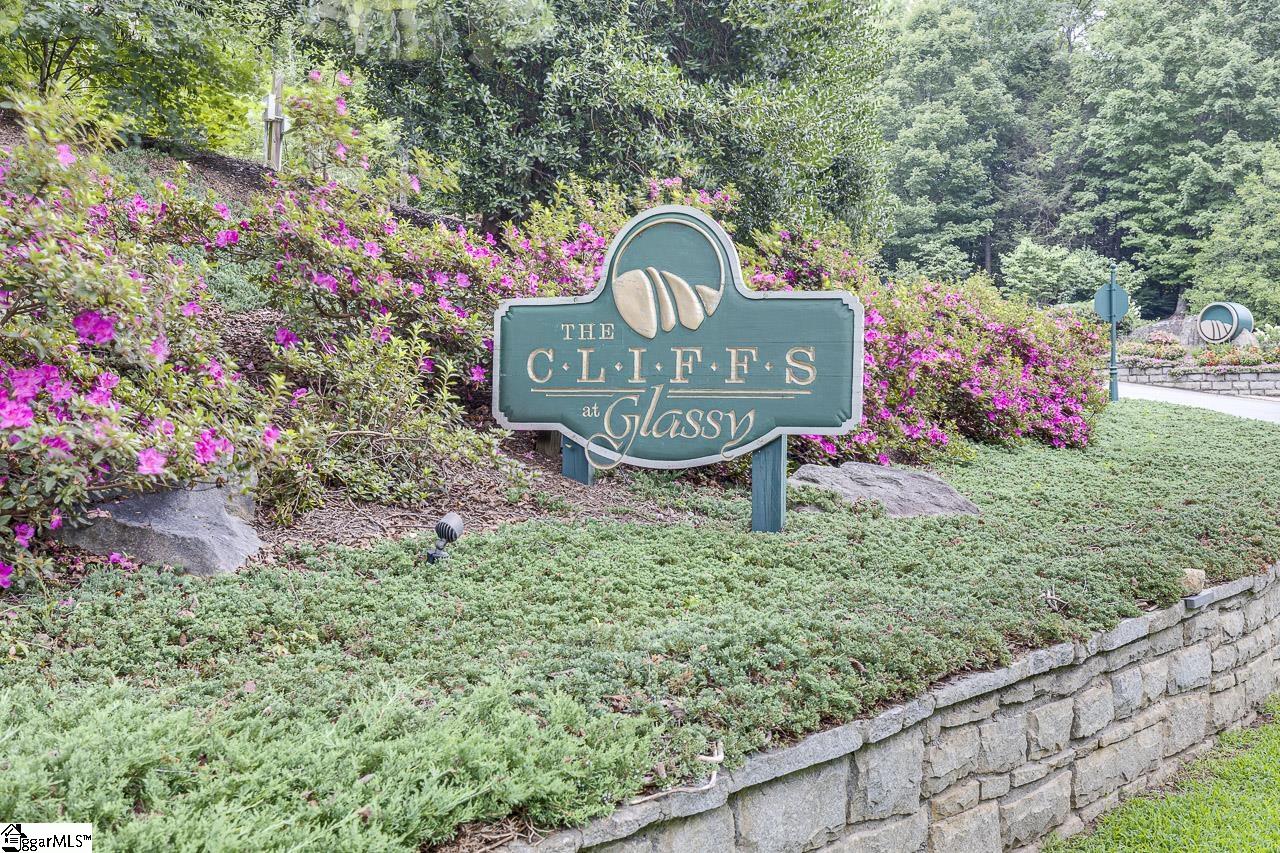 613 Western Way Landrum, SC 29356 - Photo 8 of 8