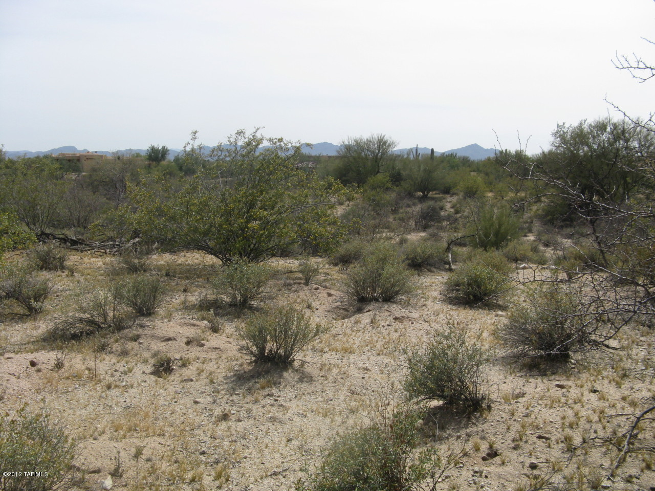 2401 West Oasis Road, Unit 29 Oro Valley, AZ 85742 - Photo 4 of 4