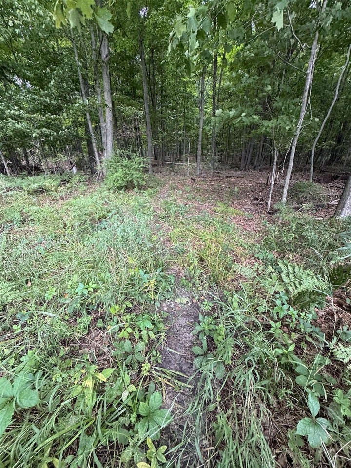 3305 South Coville Road Mikado, MI 48745 - Photo 4 of 47 Gallery Image 4