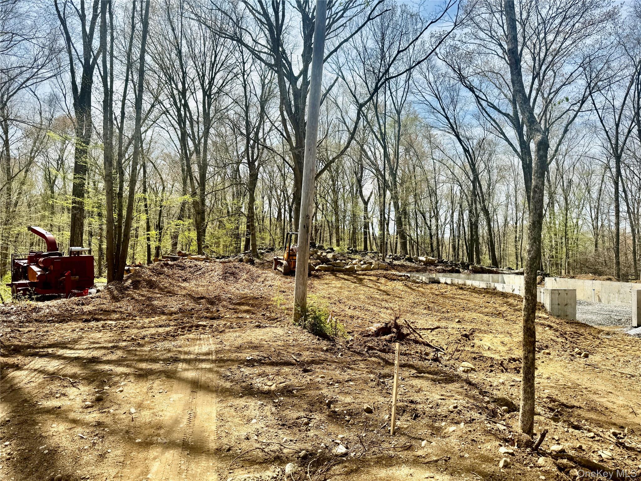 4 Webster Place Patterson, NY 12563 - Photo 38 of 42 a view of a yard with trees