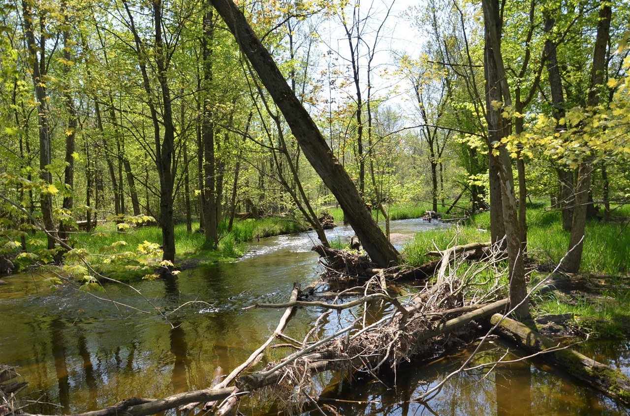 2255 River Road Hastings, MI 49058 - Photo 59 of 94