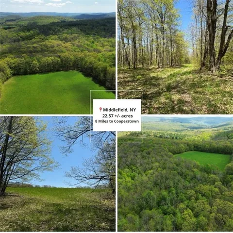 $99,000 | Barnum Road, Cooperstown, NY 13326