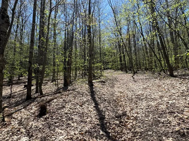 $99,000 | Barnum Road, Cooperstown, NY 13326