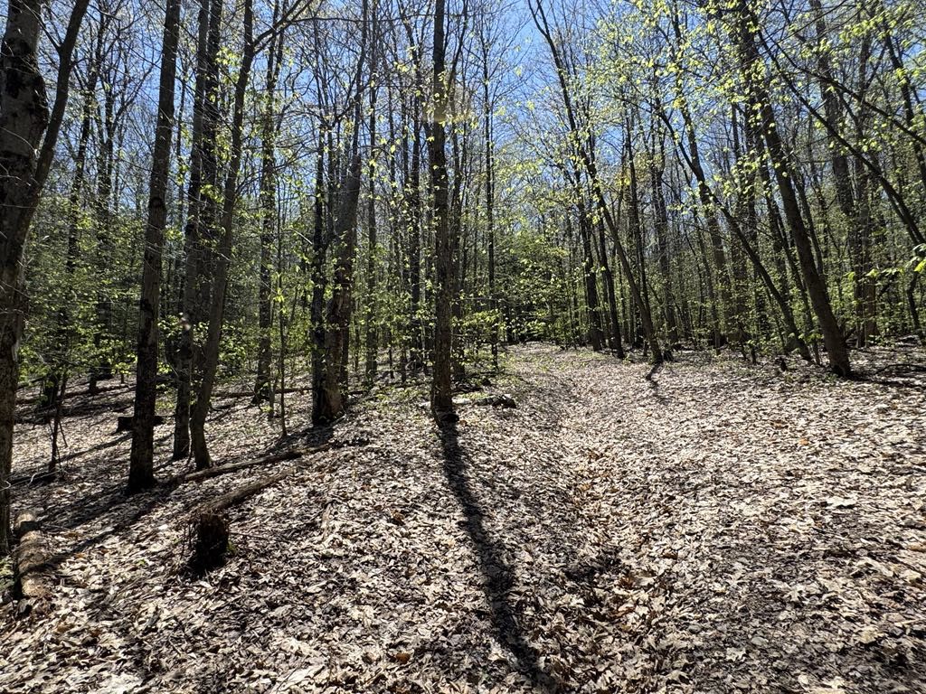 Barnum Road Cooperstown, NY 13326 - Photo 11 of 18