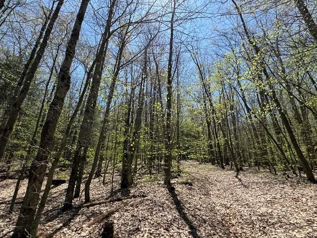 $99,000 | Barnum Road, Cooperstown, NY 13326