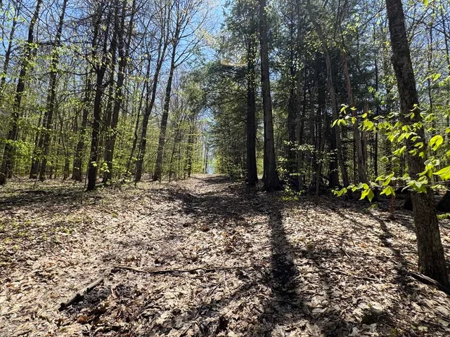 $99,000 | Barnum Road, Cooperstown, NY 13326