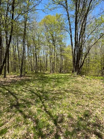 $99,000 | Barnum Road, Cooperstown, NY 13326