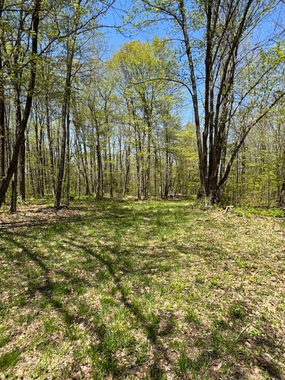 Barnum Road Cooperstown, NY 13326 - Photo 14 of 18