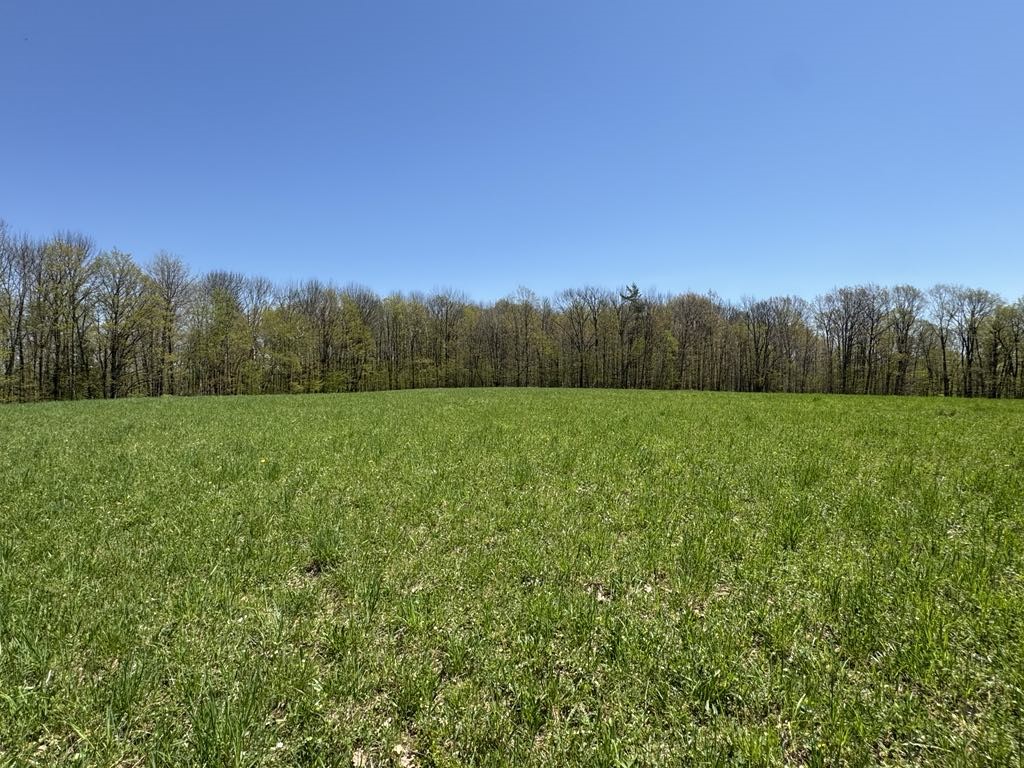 Barnum Road Cooperstown, NY 13326 - Photo 15 of 18