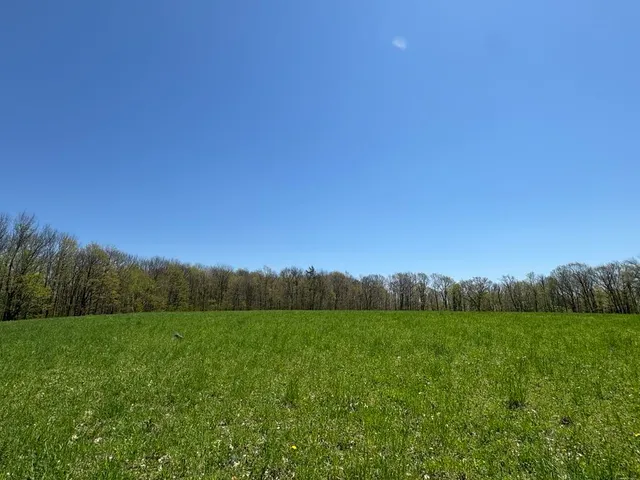 $99,000 | Barnum Road, Cooperstown, NY 13326