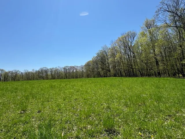 $99,000 | Barnum Road, Cooperstown, NY 13326