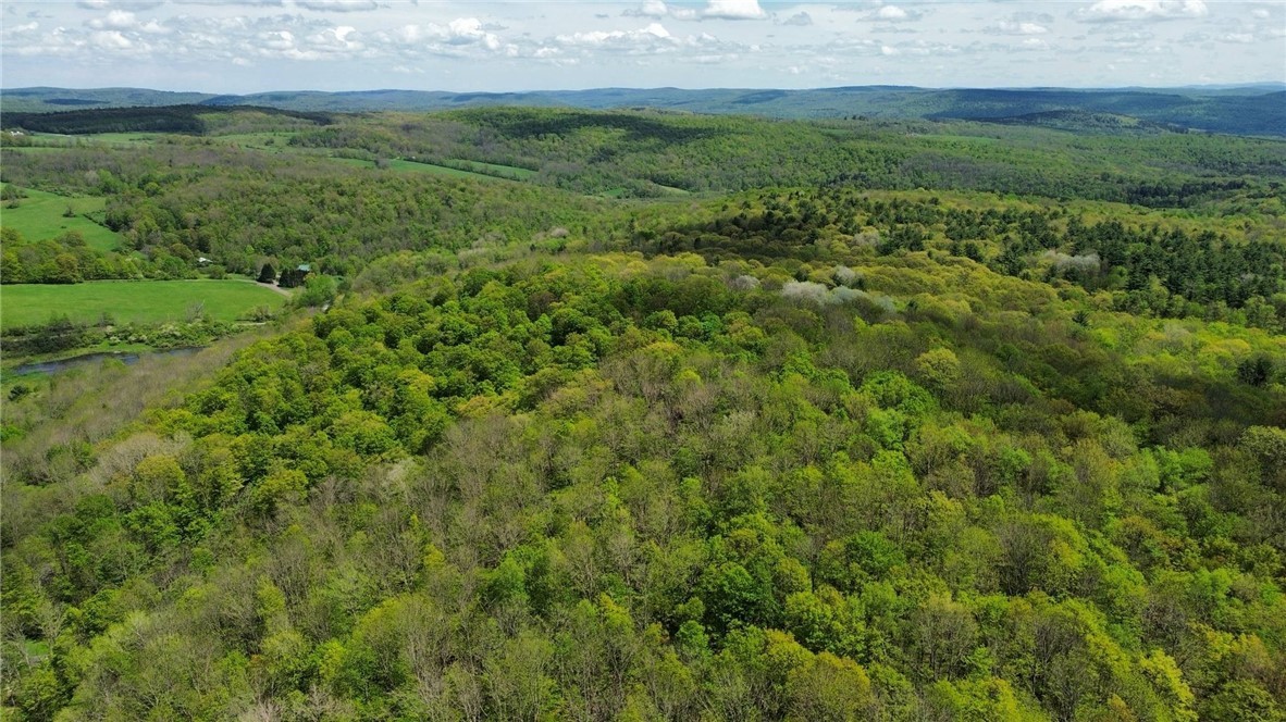 Barnum Road Cooperstown, NY 13326 - Photo 18 of 18