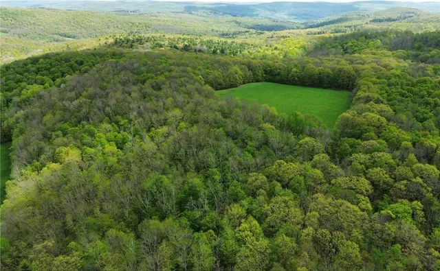 $99,000 | Barnum Road, Cooperstown, NY 13326