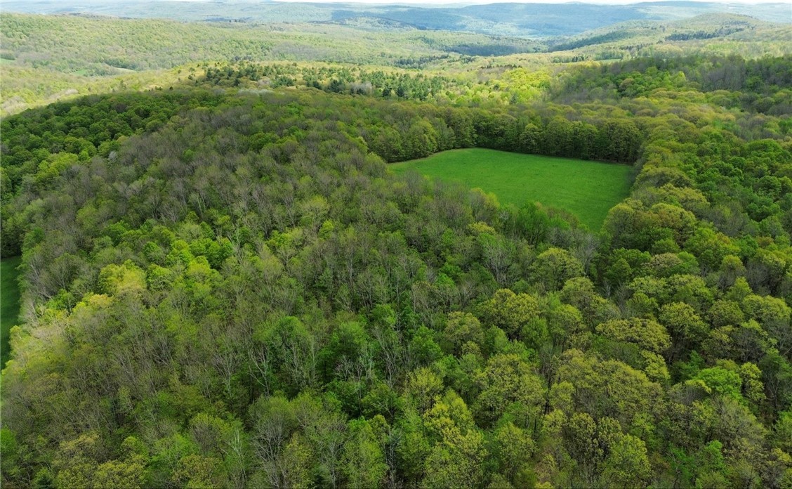 Barnum Road Cooperstown, NY 13326 - Photo 2 of 18