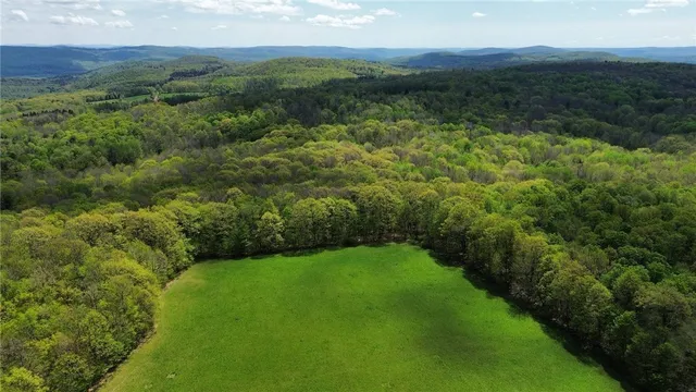 $99,000 | Barnum Road, Cooperstown, NY 13326