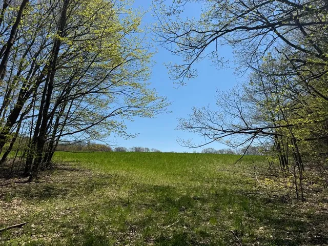 $99,000 | Barnum Road, Cooperstown, NY 13326