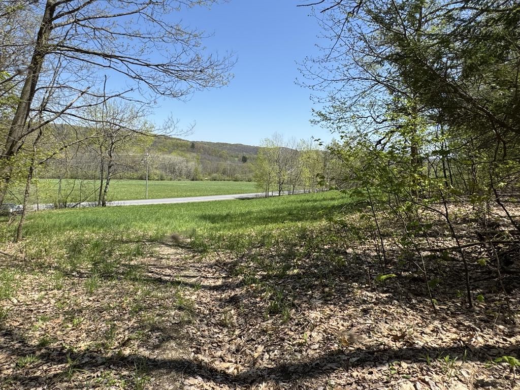 Barnum Road Cooperstown, NY 13326 - Photo 5 of 18