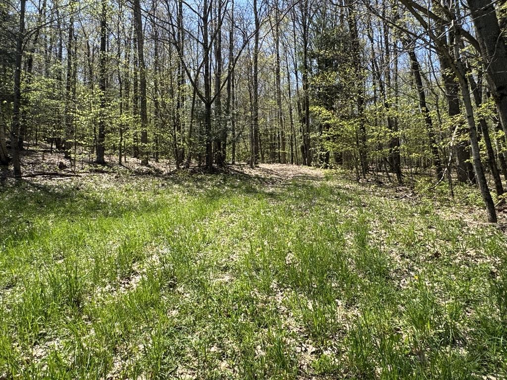 Barnum Road Cooperstown, NY 13326 - Photo 6 of 18