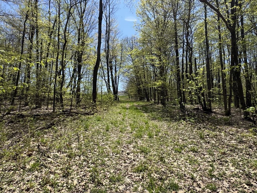 Barnum Road Cooperstown, NY 13326 - Photo 7 of 18