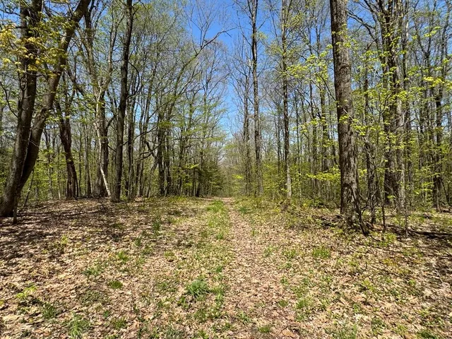 $99,000 | Barnum Road, Cooperstown, NY 13326