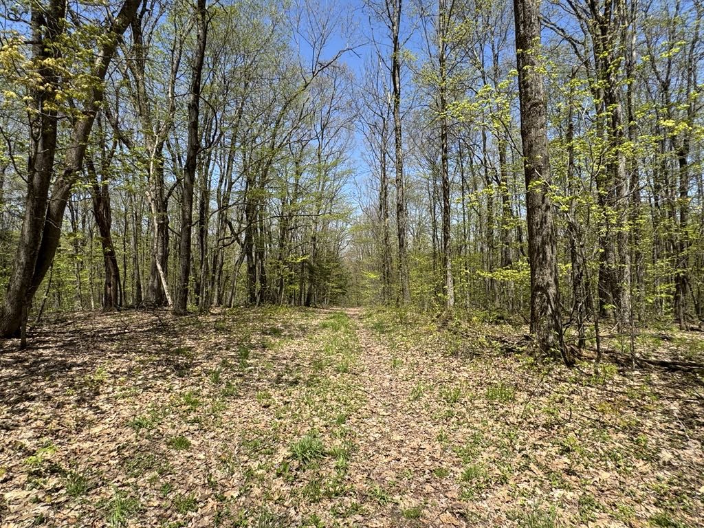 Barnum Road Cooperstown, NY 13326 - Photo 8 of 18