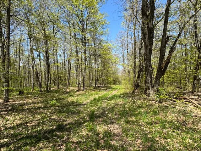 $99,000 | Barnum Road, Cooperstown, NY 13326