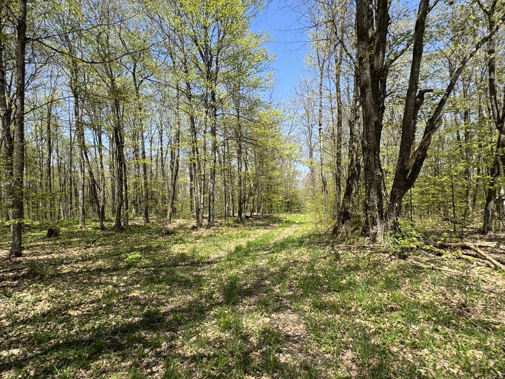 Barnum Road Cooperstown, NY 13326 - Photo 9 of 18