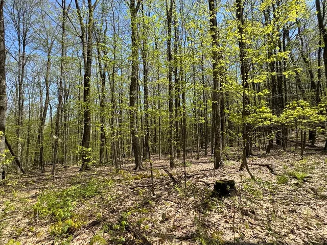 $99,000 | Barnum Road, Cooperstown, NY 13326