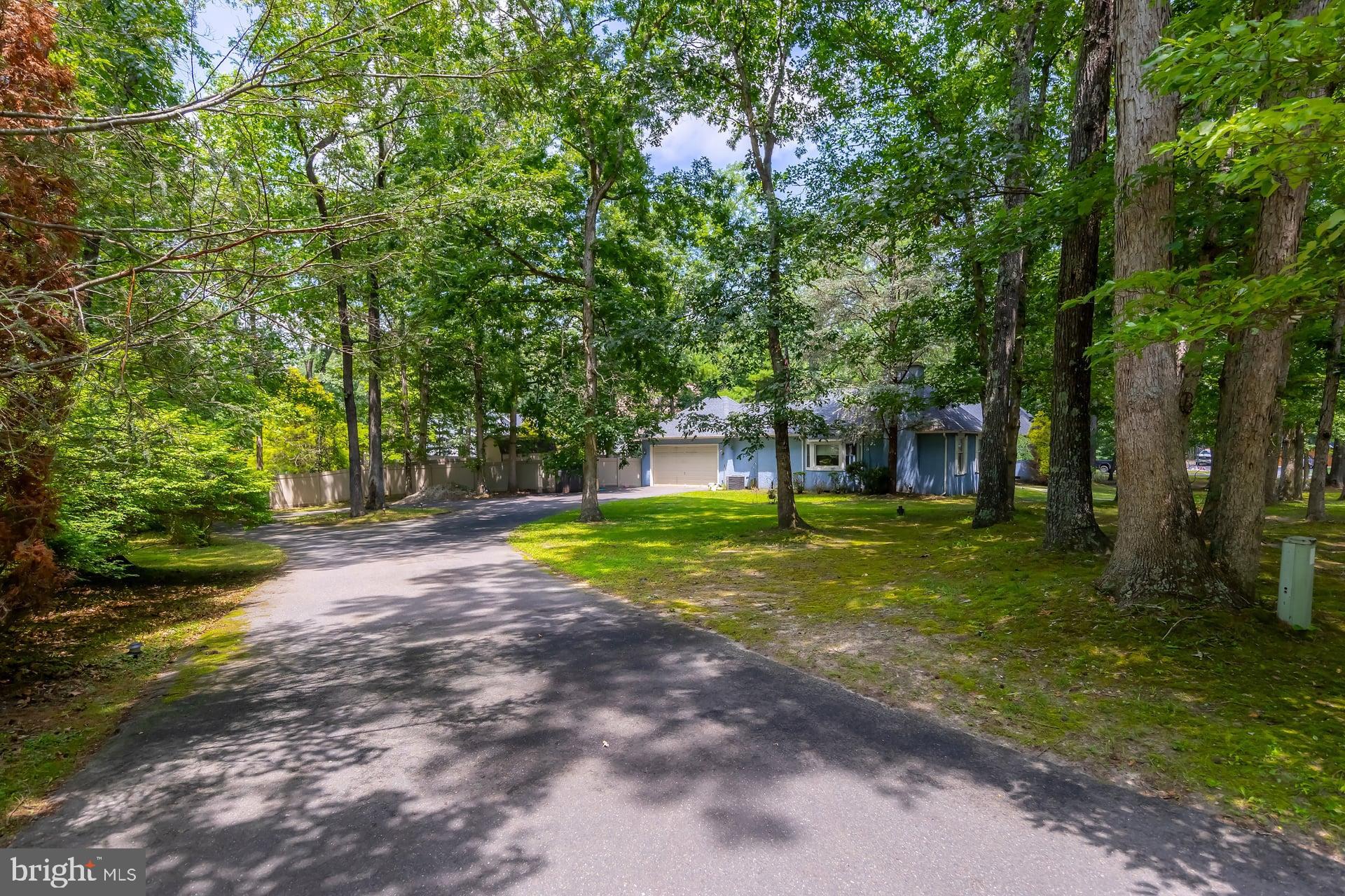 1 Castle Road Shamong, NJ 08088 - Photo 27 of 29 Long Driveway