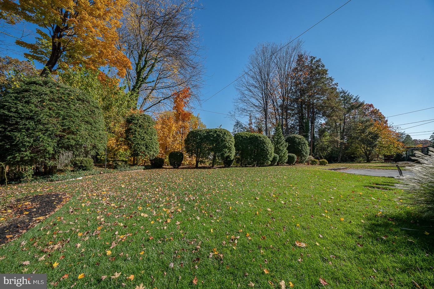 435 Williams Road Wynnewood, PA 19096 - Photo 32 of 43 Gallery Image 32