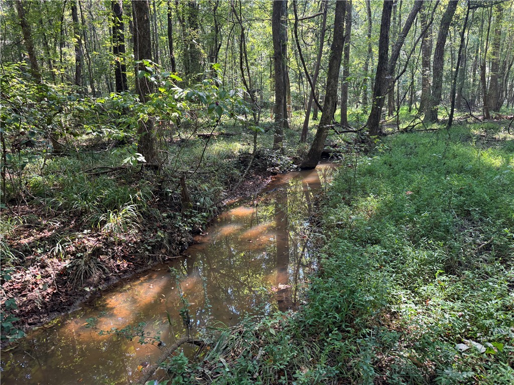 205 Sawney Creek Road Calhoun Falls, SC 29628 - Photo 33 of 37 Gallery Image 33