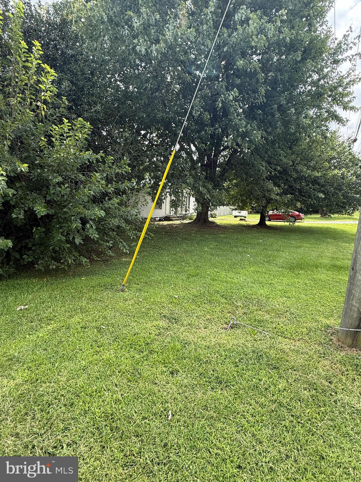 2418 Seeneytown Road Dover, DE 19904 - Photo 5 of 20 a backyard of a house with lots of green space