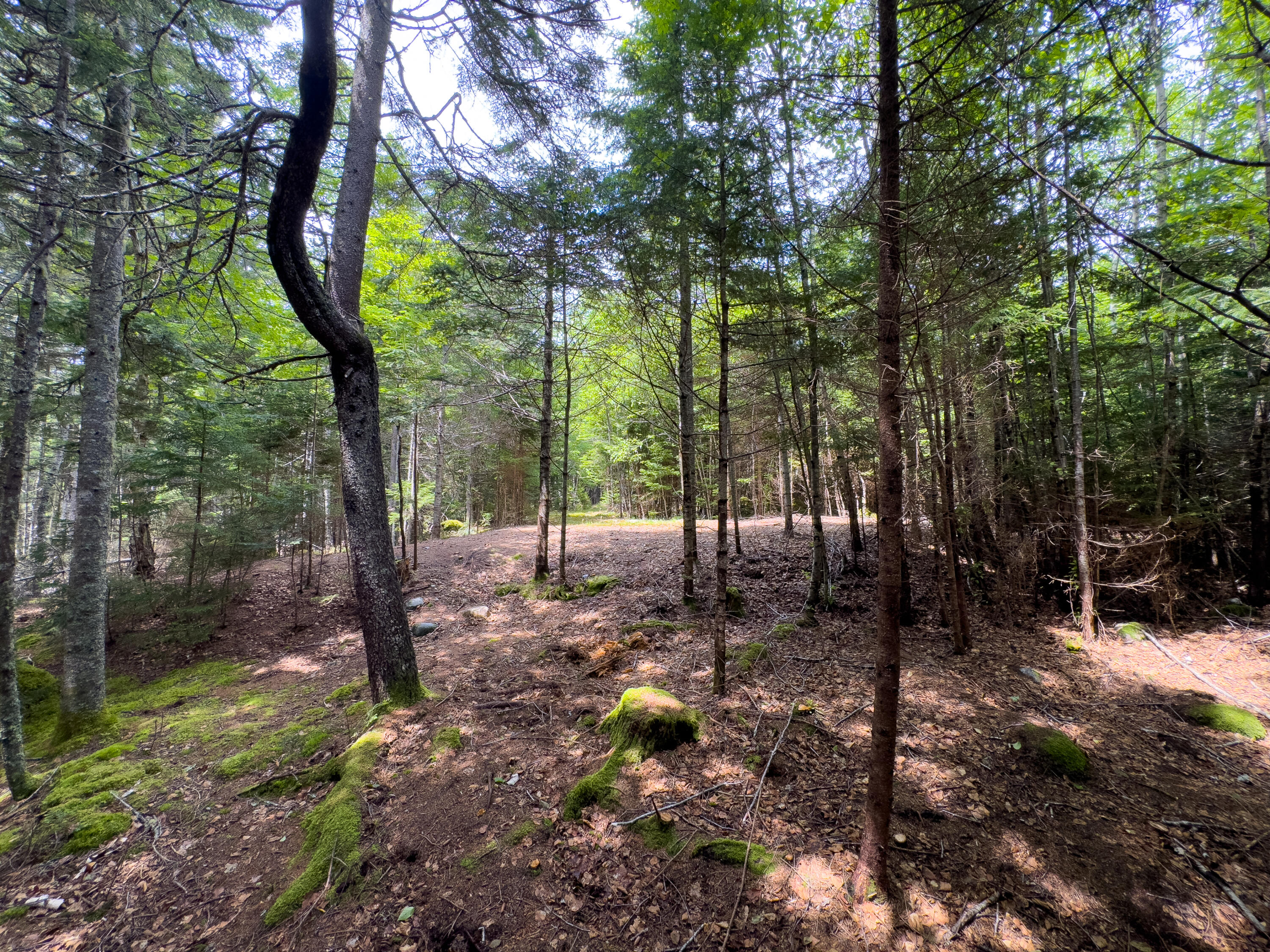 2-4 Looks Cemetery Road Jonesboro, ME 04648 - Photo 16 of 26 MACDOUGALL LOT-24