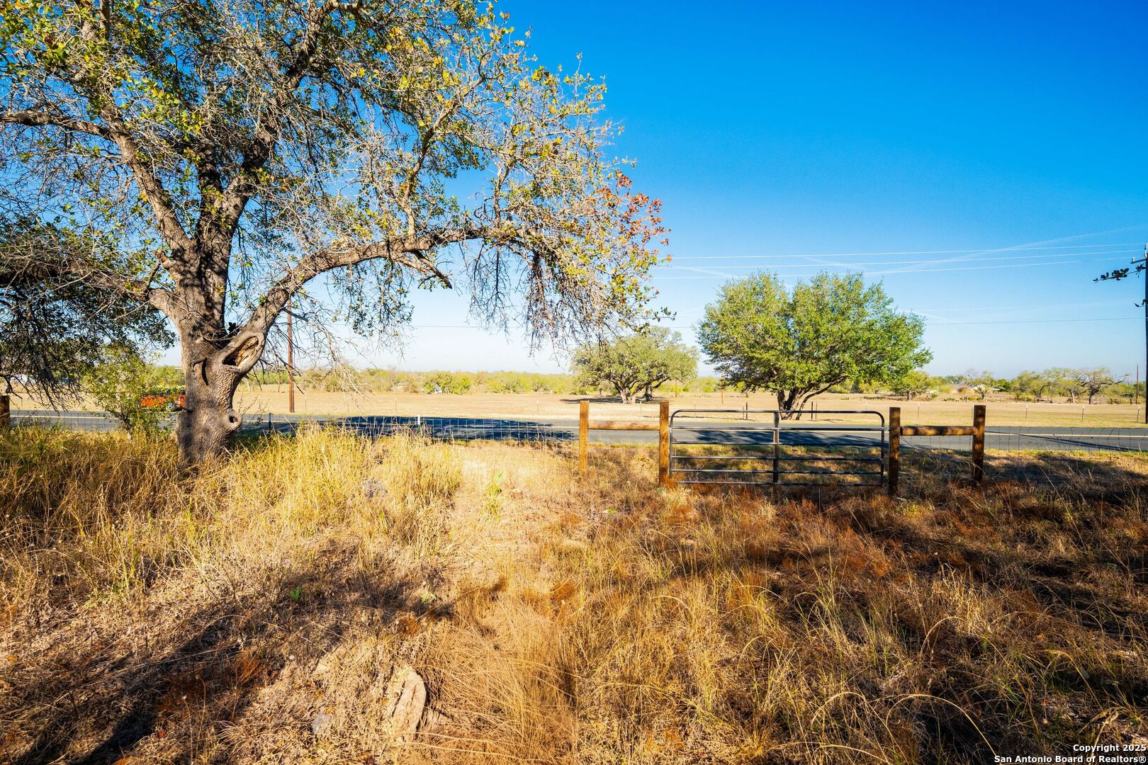 21270 Priest Road Elmendorf, TX 78112 - Photo 2 of 14 a view of a lake with houses