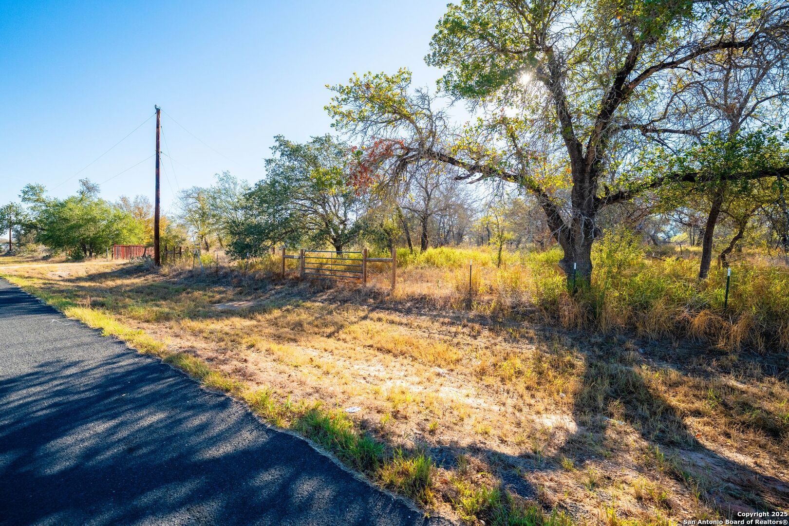 21270 Priest Road Elmendorf, TX 78112 - Photo 5 of 14 a view of yard with tree